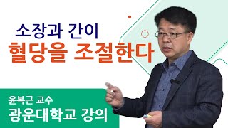 혈당 조절  소장과 간이 혈당을 조절한다 [upl. by Gader]