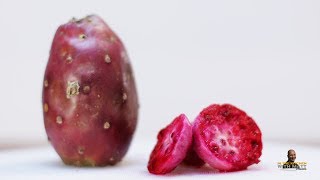 How to Eat Cactus Fruit Prickly Pear  Taste Test [upl. by Wynne]