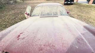 1979 Camaro Project  She’s Seen Better Days [upl. by Nosnirb328]