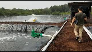 Kolam Geomembrane [upl. by Eldredge]