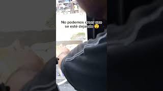 Michi pegriloso 🐱😱🤣 funny michis parati fyp viralvideo [upl. by Aile]