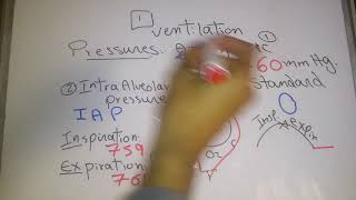 Respiratory new system Steps and Mechanism of Ventilation dr mohamed fayez [upl. by Anele]