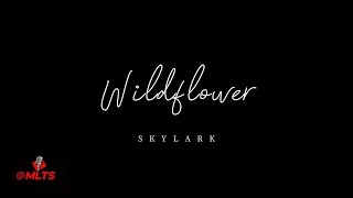 Wildflower  Skylark Cover [upl. by Chavey745]