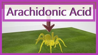 Arachidonic Acid Pathway Mnemonic [upl. by Iadrahc]