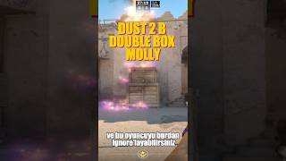 CS2 DUST2 PROSU NASIL OLUNUR  DOUBLE BOX MOLLY BÖLÜM 3 [upl. by Leeth20]