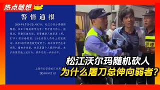 上海松江区沃尔玛超市随机砍人，为什么屠刀总伸向弱者｜上海｜松江｜沃尔玛｜苏州校车｜深圳日本小学生｜随机砍人｜热点随想 [upl. by Nyleimaj]