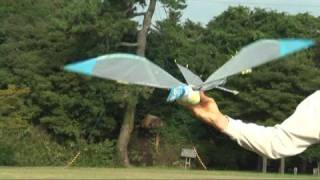 Sordes 55 First Flight Pterosaur Ornithopter RC [upl. by Gisser]