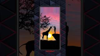 Boy And Giraffe wander foul moment picsart shorts video editing tutorial [upl. by Iteerp]