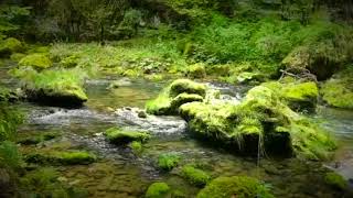 Musique Relaxante 13 Ruisseau musique émotionnelle relaxation [upl. by Ilram892]