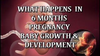 6 Months Pregnant  Pregnancy Symptoms amp Babys Development [upl. by Roderick410]