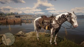 Red Dead Redemption 2 How To Get The Missouri Fox Trotter  Amber Champagne And Silver Dapple Pinto [upl. by Airamas]