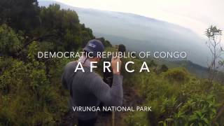 Congo Virunga National Park [upl. by Nho]