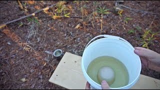 10 DIY Berkey Water Filter [upl. by Jann]