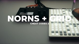 Monome Norns  Grid with Cheat Codes 2  first steps [upl. by Lingwood]