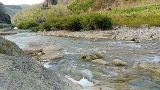 Relax by the river enjoying the natural sounds of gurgling water and birds chirping [upl. by Adnamahs]