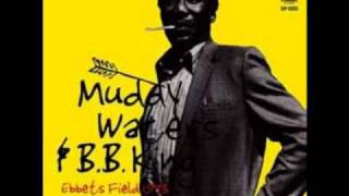 Muddy Waters amp BB King  Ebbets Field 1973  Instrumental With Muddy Intro [upl. by Aleusnoc115]