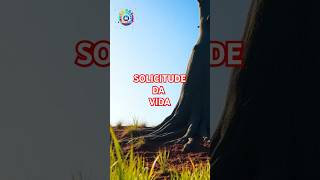 A solicitude da vida Mateus 62534 shorts canalaplicacoesbiblicas [upl. by Eninahs]