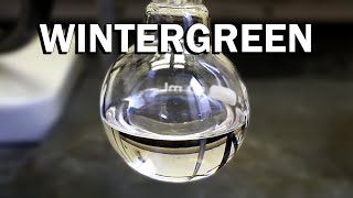 Making Wintergreen a minty odor and flavoring [upl. by Imorej]