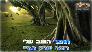 גיבור  דודו אהרון  קריוקי ישראלי מזרחי HD [upl. by Eemia]