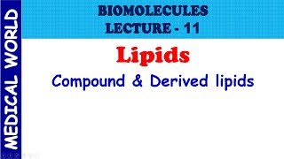 BIOMOLECULES  COMPOUND AND DERIVED LIPIDS  LECTURE 11 [upl. by Yemarej]