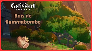 Bois de flammabombe  Route de farm  Genshin Impact [upl. by Irpak647]