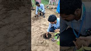 Teak Wood Plantation In Our School Garden With Children [upl. by Eenrahc713]