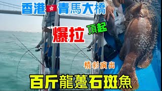 香港🇭🇰青馬大橋，爆拉百斤龍躉石斑，應該係歷史紀錄📝🎭 [upl. by Wilt]