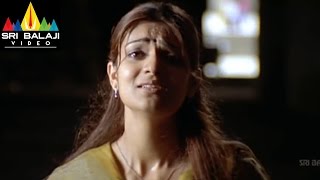 Neninthe Movie Siya Love Proposal to Raviteja Scene  Ravi Teja Siya  Sri Balaji Video [upl. by Saberhagen]