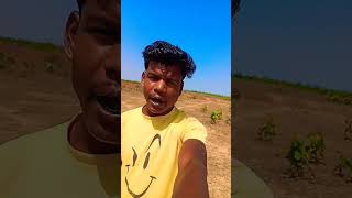 halbi song ll bastariya song halbisong halbisongs kursovlogs [upl. by Ettenwad]