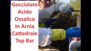 Gocciolato Acido Ossalico in Arnia Cattedrale Top Bar [upl. by Semaj]