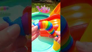 Learn Bug Insect Names  Bounce Toys off Waterslide Spider Caterpillar Slug Snail Ant [upl. by Evvy]