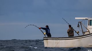 2024 cape cod fishing highlights [upl. by Amsa]