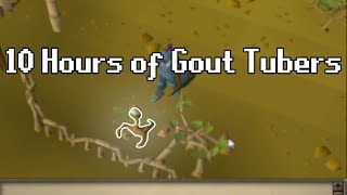 10 Hours of Gout Tubers what are these  OSRS Challenge [upl. by Wolfie]