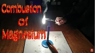 Combustion burning of Magnesium [upl. by Nino]