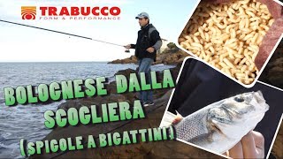 Trabucco TV  Canna bolognese dalla scogliera [upl. by Hamlet280]