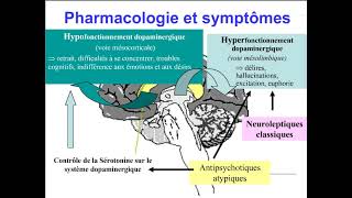 Médicaments Psychotropes classe des neuroleptiques [upl. by Franky]