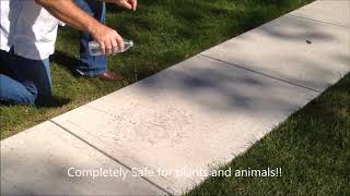 Concrete Sealer That is a True Sheild to Water Salt Mold Moss Staining and freezethaw damage [upl. by Ailicec]