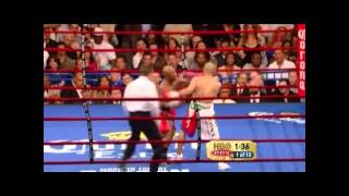 Zab Judah perfect Uppercut [upl. by Ayhdnas]