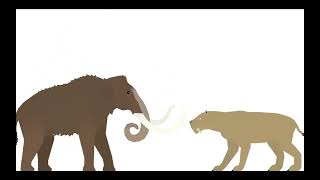 Woolly Mammoth VS Smilodon [upl. by Otti63]