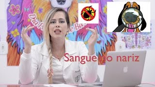 SANGUE PELO NARIZ DO SEU CÃO O QUE PODE SER  O QUE FAZER [upl. by Sadick]