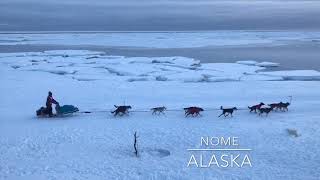 Iditarod in Nome Alaska 2019 [upl. by Phox]