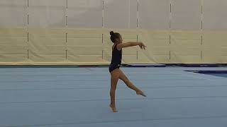 Level 4 Whistle Routine  WAG floor routines [upl. by Silverman]