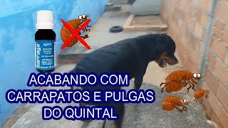 Acabando com pulgas carrapatos baratas formigas moscas e outros insetos Dedetização com BARRAGE [upl. by Aryad345]