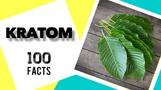 100 Kratom Facts [upl. by Ainelec]