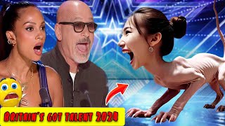 Incredible Magician Shocks Judges with Epic Golden BuzzerWinning Act on Americas Got Talent 2024 [upl. by Koy395]