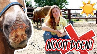 Doe dit NOOIT met je paard in de ZOMER  felinehoi [upl. by Yeh262]