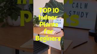 TOP 10 Best Indoor Plants For Beginners indoorplants shorts dreamfulworld3537 [upl. by Releehw594]