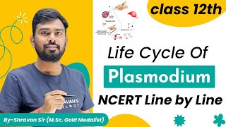 Malaria  Life Cycle of Plasmodium  Class 12  NEET Biology  Human Health and Diseases [upl. by Annig252]