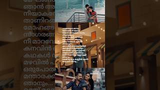 Chayamere mayum song lyrics thean kuruvikale  music song lyrics [upl. by Nosreve]