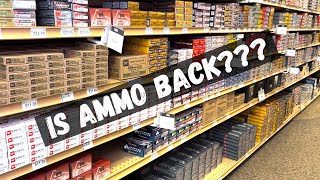 Ammo Prices in March 2024 [upl. by Aiynat]